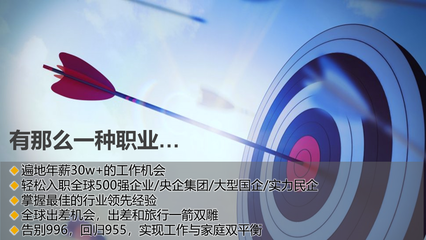 pp實(shí)施顧問