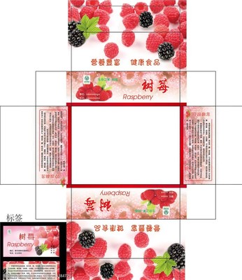 樹莓采收包裝流程