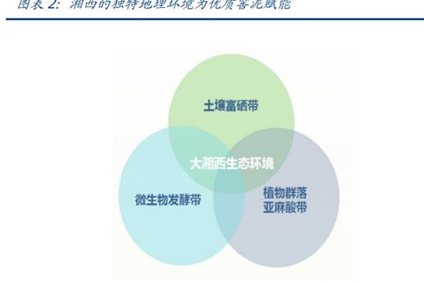 包裝設(shè)計(jì)發(fā)展報(bào)告