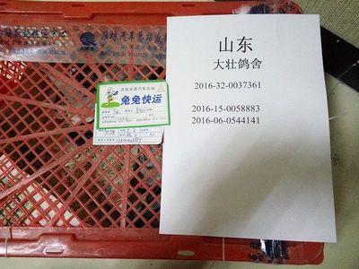 鴿子快遞包裝貼吧