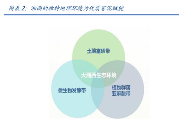 包裝設(shè)計(jì)發(fā)展報(bào)告