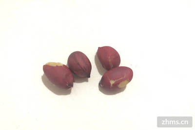 小包裝零食批發(fā)加盟