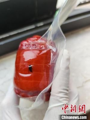 煙臺三站哪有真空包裝袋