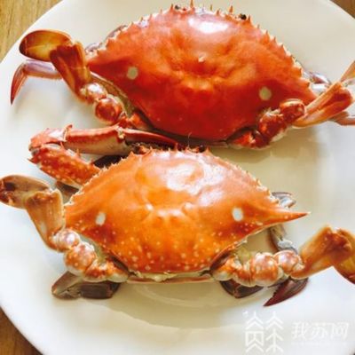 海鮮干貨怎么保存最好是半干即食海參