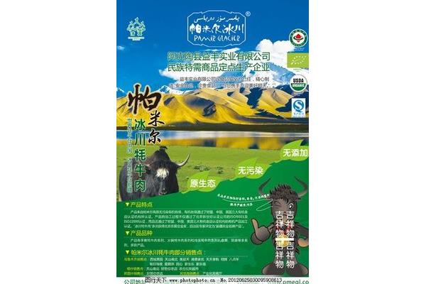牦牛廣告設(shè)計