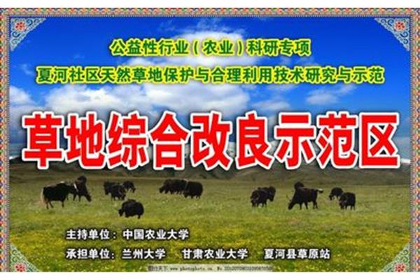 牦牛廣告設(shè)計