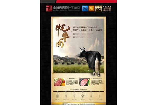 牦牛廣告設(shè)計