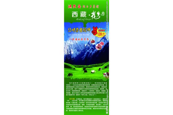 牦牛廣告設(shè)計