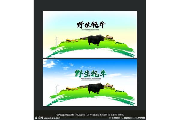 牦牛廣告設(shè)計