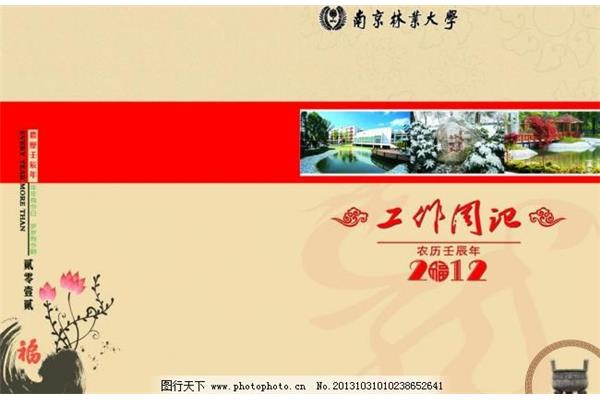 關(guān)于廣告設(shè)計(jì)工作周記